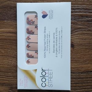 Color Street Nails - Floral Obligation